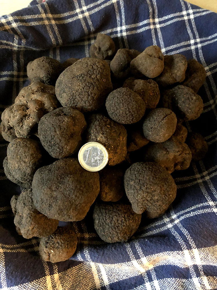 herbst-truffel-4.jpg